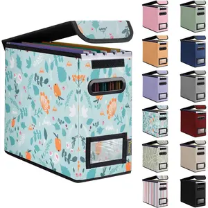 File Organizer Box with Lid, Collapsible File Folder Organizer with Plastic Slide, Hanging File Folder Box for Office Document Storage (1 Pack, Spring Stroll, S)