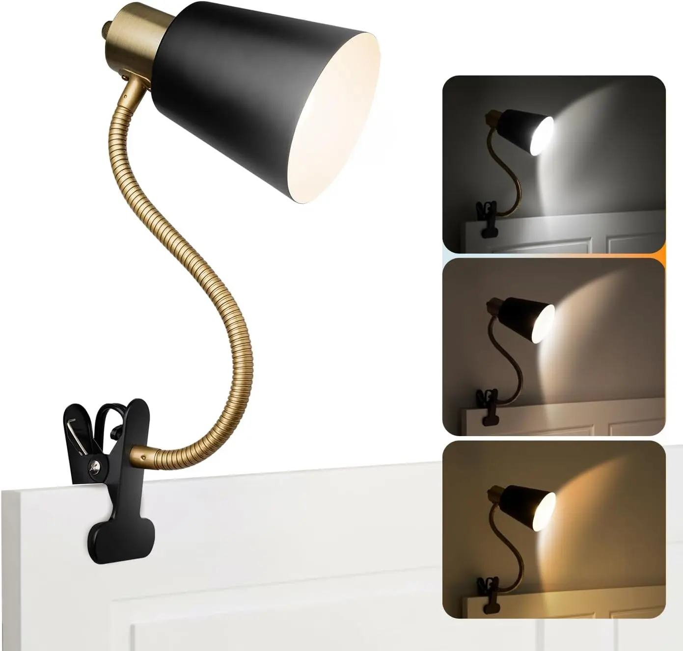 Black and Gold