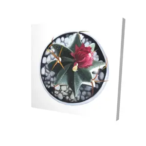 360 Stand Hyperrealist Green Cactus in Pot Wall Art Decorative Print - 36x36 in Minimalist Artistic Photo Print, Natural Decor for Home Supplies, Decoration, Plants, Artwork, Room