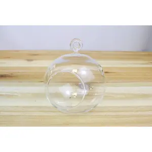 Flat Bottom Hanging Tillandsia Air Plant Terrarium