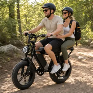 Dual-Seat Design 1500W peak (750W rated) electric bike, 20-inch fat tires, 90Nm torque, top speed 28 mph, 60V 15Ah battery, range 50-80 miles, LCD display Ebike Bike