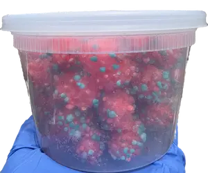 GEEKS Freeze-dried Gummy Clusters Made in the USA Crunchy Texture Fruit Flavors Snacks for Candy Enthusiasts Resealable Tub Sweet Bonbon Bite Chewy US Origin