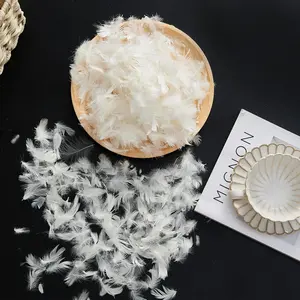 Goose Down Feather Stuffing & Fill Hypoallergenic Pillow Filling for Repair Restuff Fluff Couch Cushions Comforters Jackets 10/90 1Lb DIY