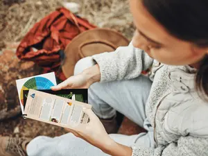 Life Stages' Outdoor Weather-Proof Wellness Guides: How & Why to Ground, Cognitive Distortions, and Emotion Wheel