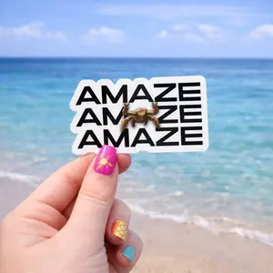Amaze Amaze Amaze Sticker, Rocky Sticker, Bookish Sticker, Sci-Fi, BookTok Vinyl Sticker Birthday Gift for Friends
