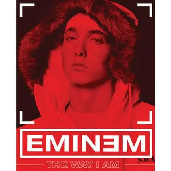 The Way I Am - Eminem's Autobiography & Biography, Rap Music & Lyrics Focused, Paperback Book (Literature & Art Category)