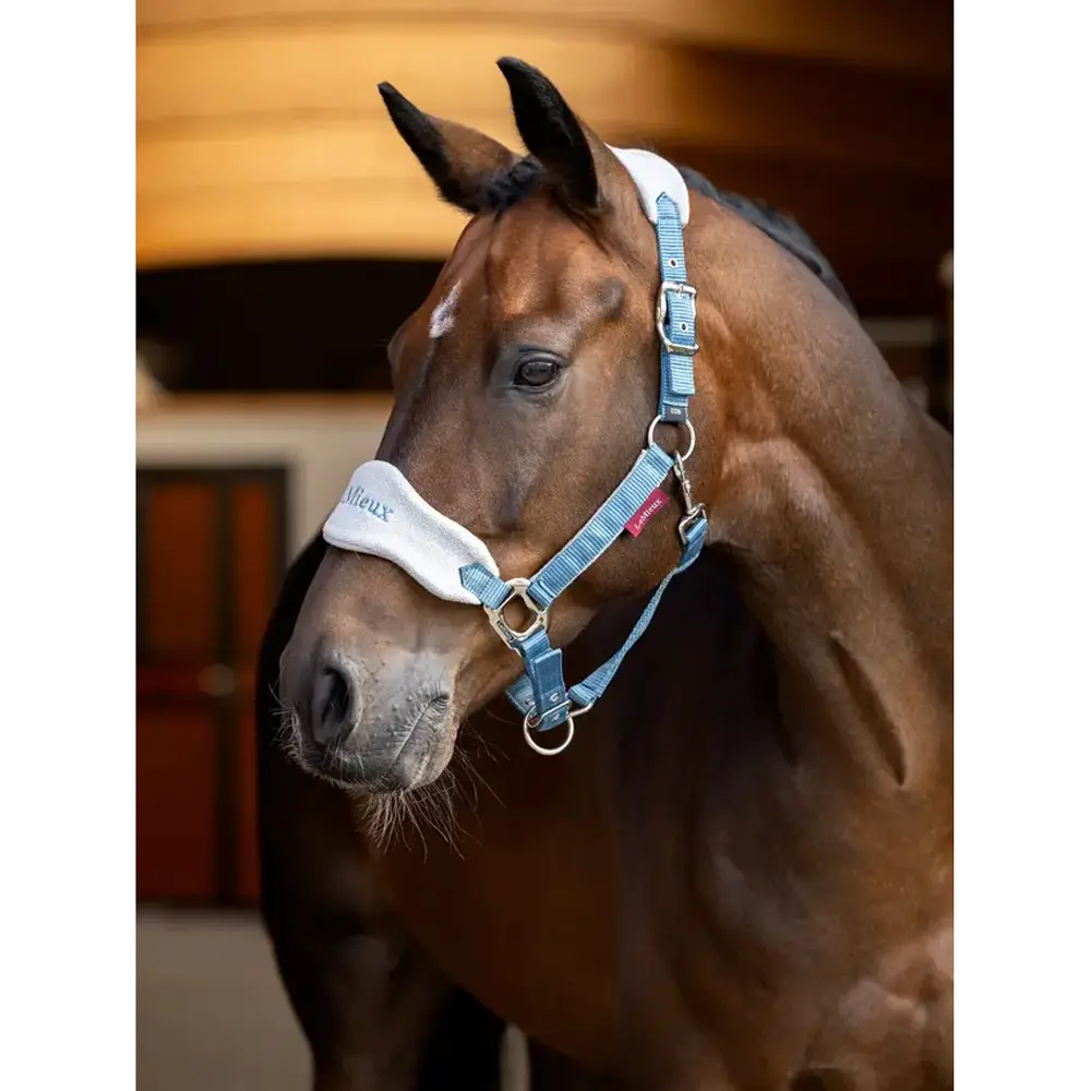 IT06887 LeMieux Vogue Headcollar Halter & Lead Rope Set - Ice Blue