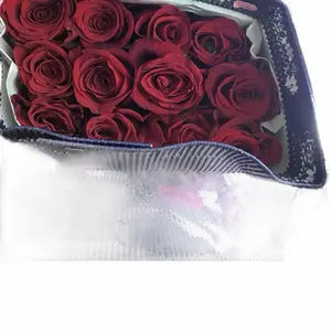 Freedom roses