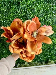21 Inch Rust Magnolia Bush
