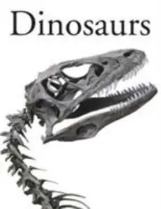 USED-Dinosaurs (Hardcover)