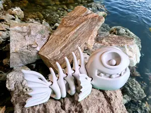 Articulating 3d Printed Fish Skeleton