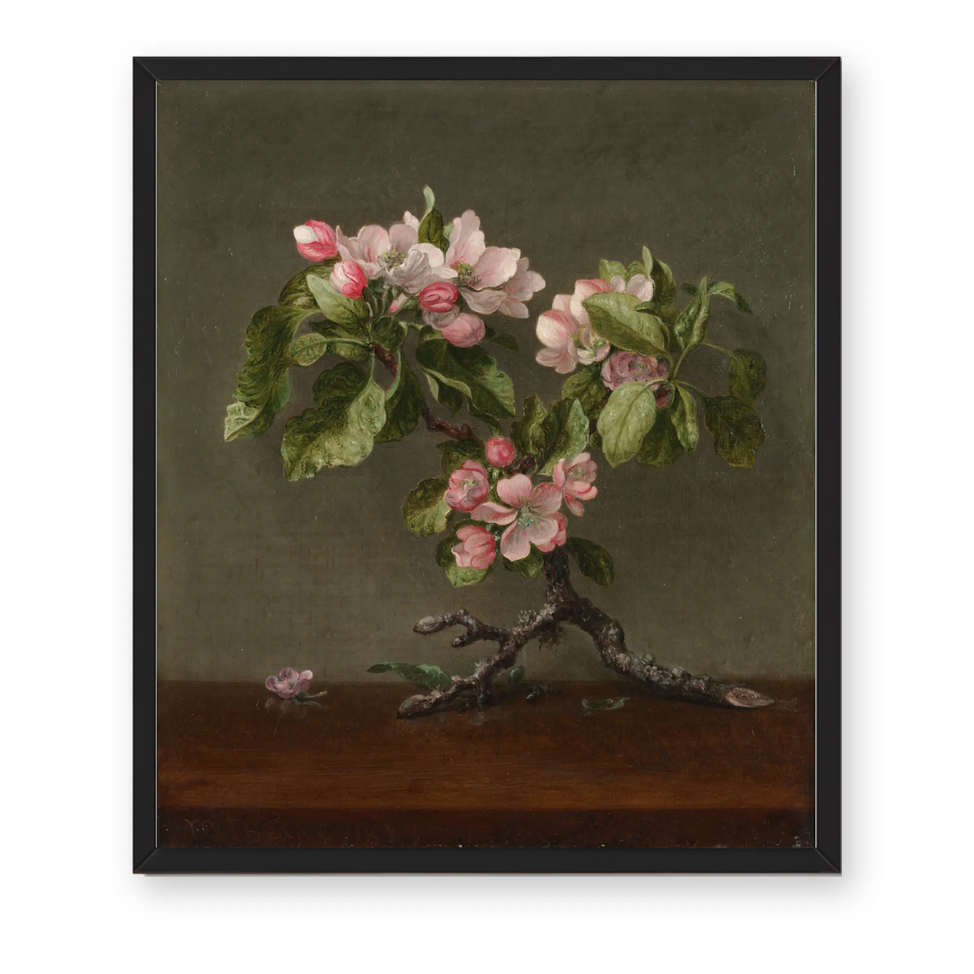 Vintage Apple Blossoms Framed Wall Art, Moody Botanical Branch Print for Bedroom Living Room Entryway