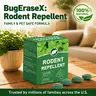 Peppermint Oil Rodent Repellent Balls for Home & Kitchen, Natural Mice Deterrent, Pet-Friendly, Long-Lasting Pest Control, Safe for Indoor Use non toxic