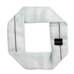 Fire Hose Dog Frisbee