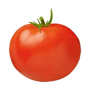 Celebrity Hybrid Tomato Seeds