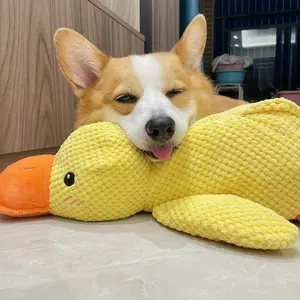 Duck Squeaky Toy