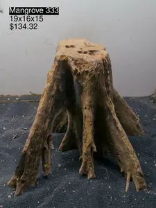 Mangrove Tree Stump 333