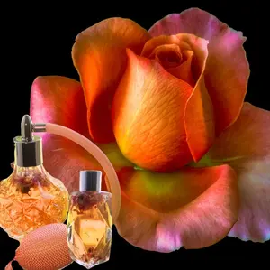 PEACE OF MIND (oil Base perfume)