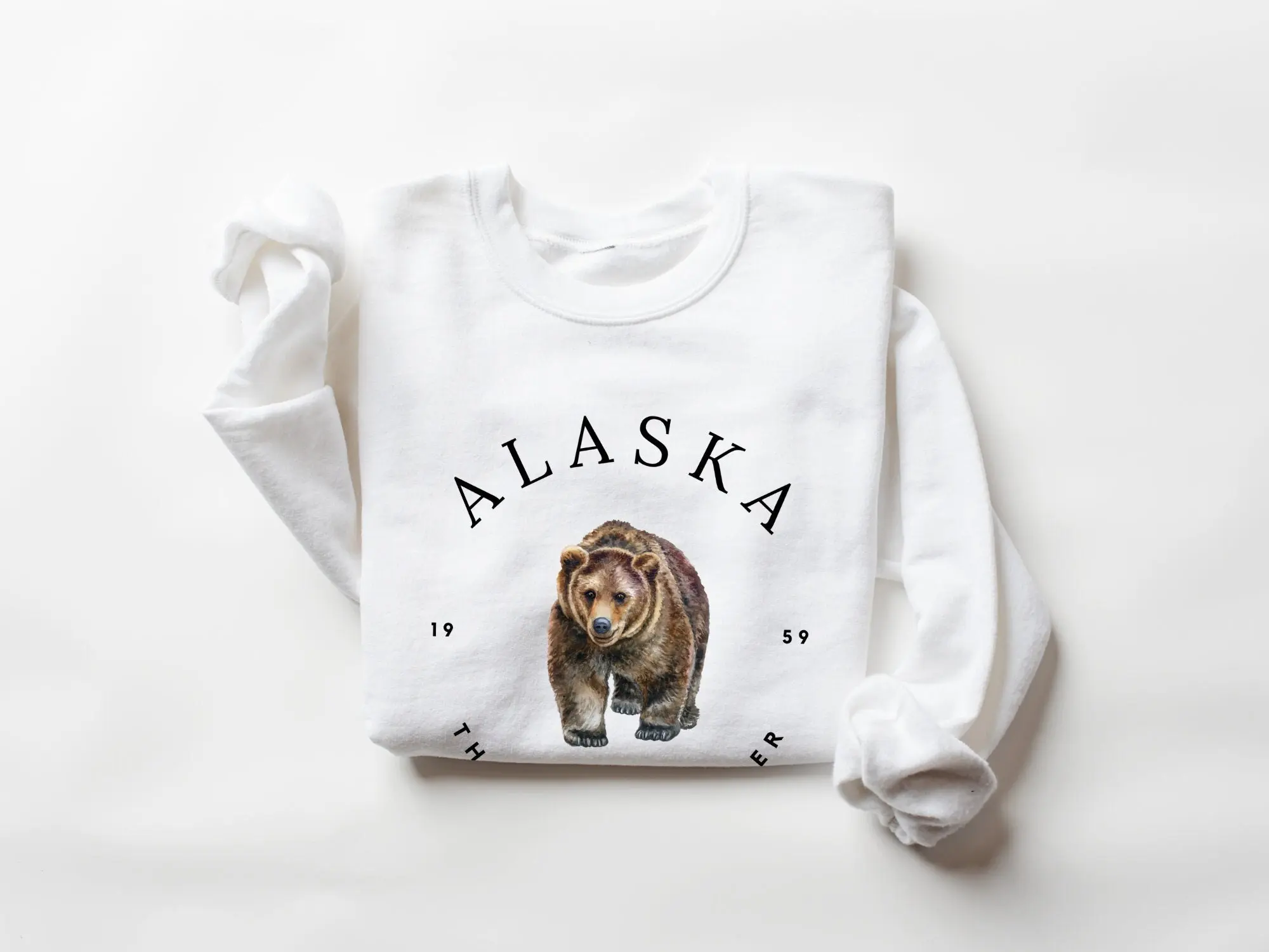 Alaska Sweatshirt, Alaska Crewneck, Alaska Shirts for Women, Alaska Shirt, Alaska Gifts, Alaska Sweater, Alaska Shirt Women