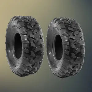GARVEE 20x10-10 ATV Tires, 4PR All Terrain Tubeless Tires for ATV UTV Trail Sand Mud Off-Road Use, Pack of 2
