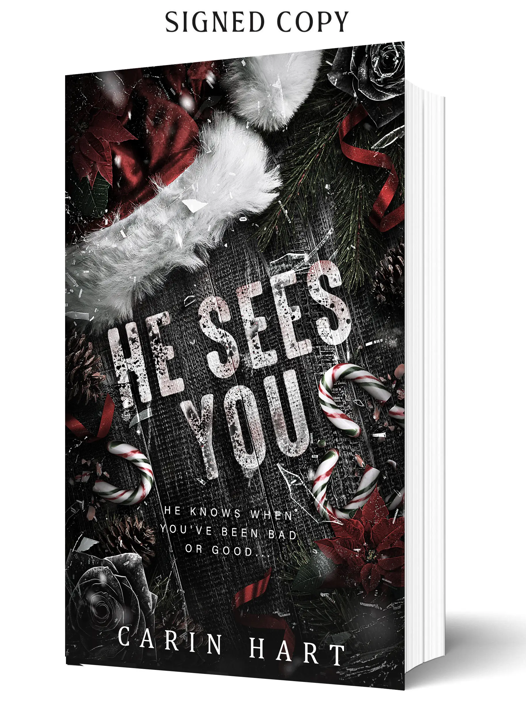 He Sees You by Carin Hart (paperback plus swag)
