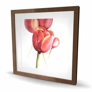 Begin Home Decor C1FM2424WBSGYN 24 x 24 in. Blossoming Tulips Closeup - Botanical Office Framed Print Wall Art