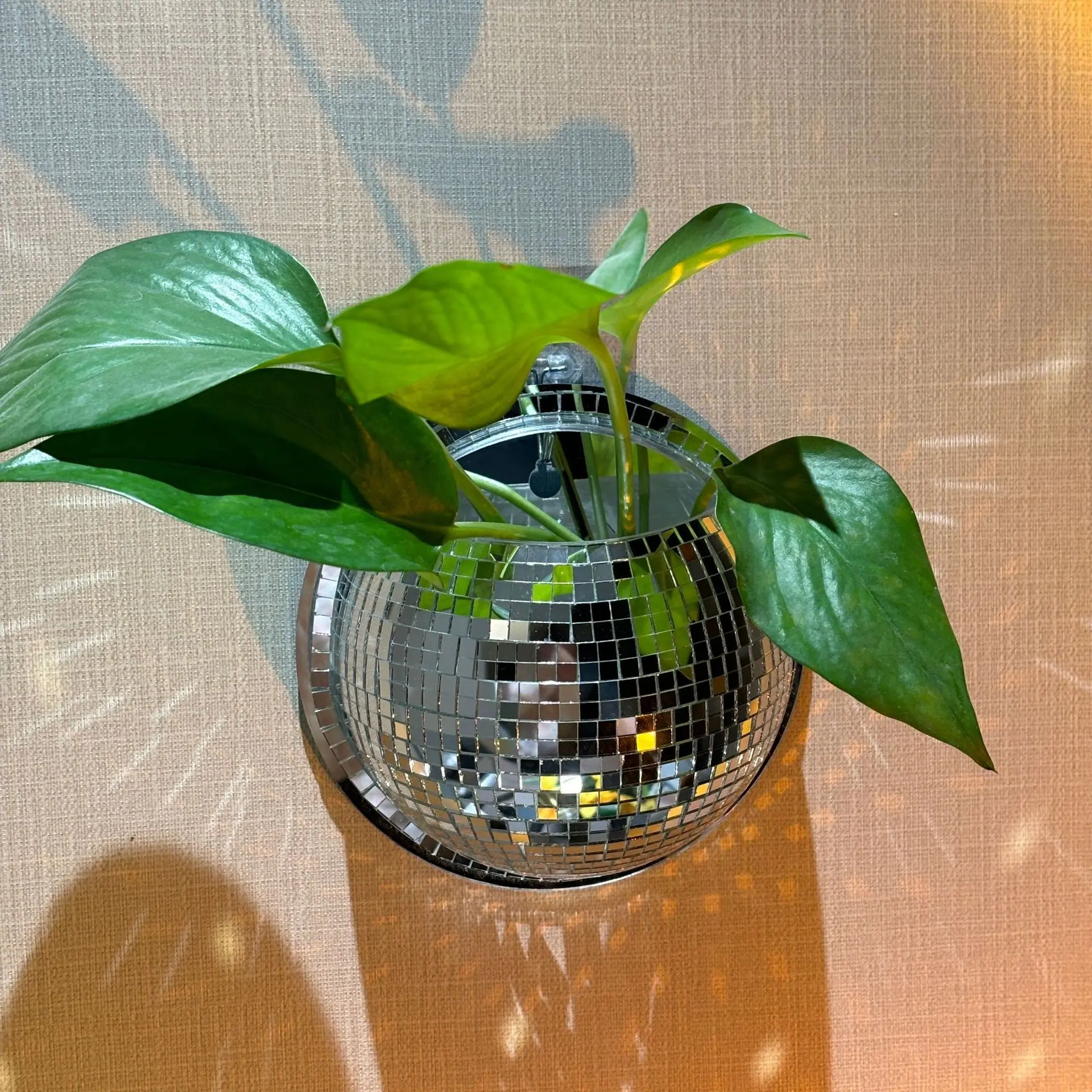 Wall-Mounted Vase Disco Planter, Modern Flower Pots, Glass Acrylic Creative Wall Hanging Decorative Pot, Wall Planters, Hydroponic Plant Container, Unique Home Decoration