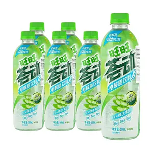 WANT WANT Aloe Vera Electrolyte Drink 500ml x 6 Pack - Hydrating Vitamin B6 Beverage for Refreshment