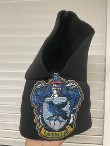 Ravenclaw Parrot Hoodie