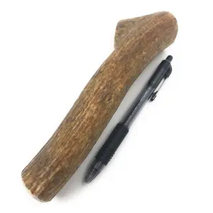Heartland Antlers Large Whole Elk Antler Dog Chew | 7" Long | For Dogs 45–65 lbs | Natural, Durable & Safe | USA Made