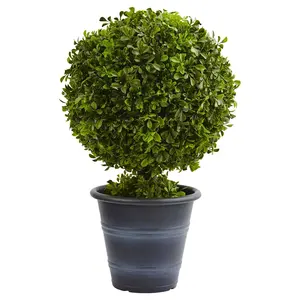 23” Boxwood Ball Topiary 23” Boxwood Ball Topiary