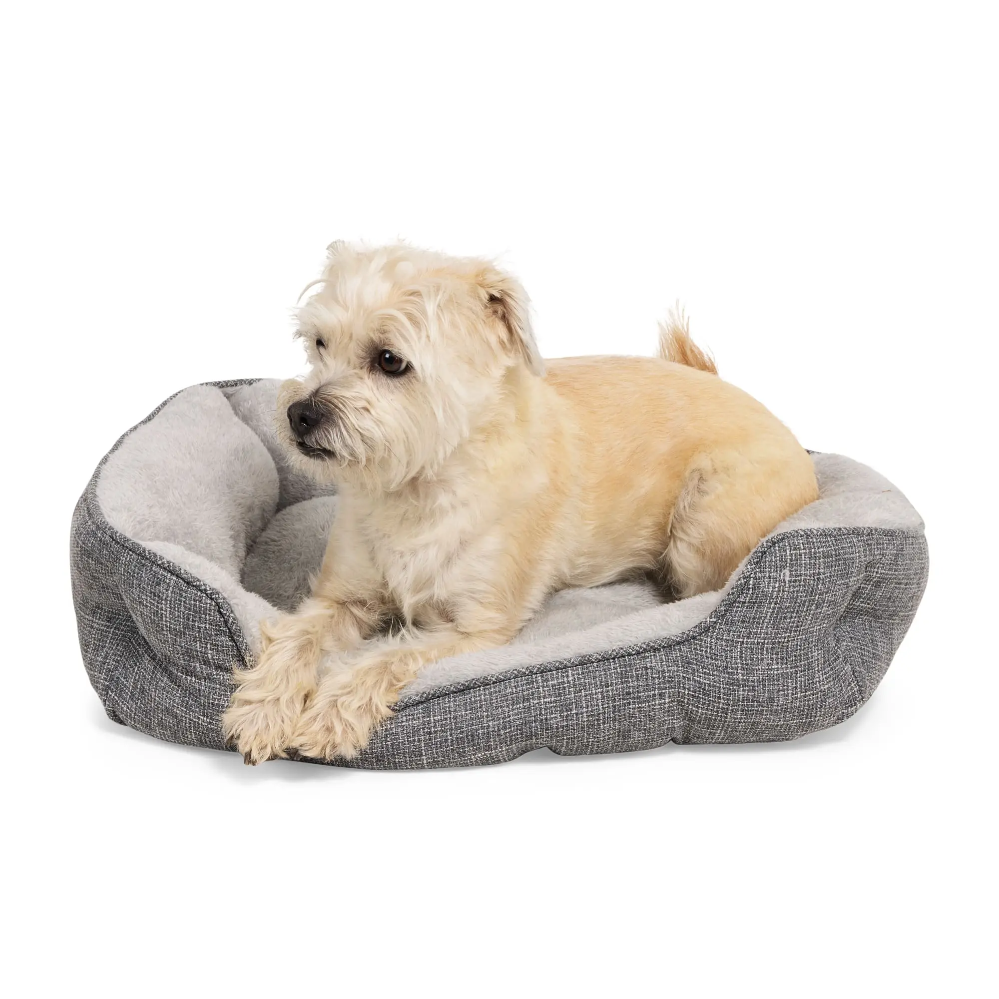 EveryYay Snooze Fest Grey Rectangle Nester Box Dog Bed