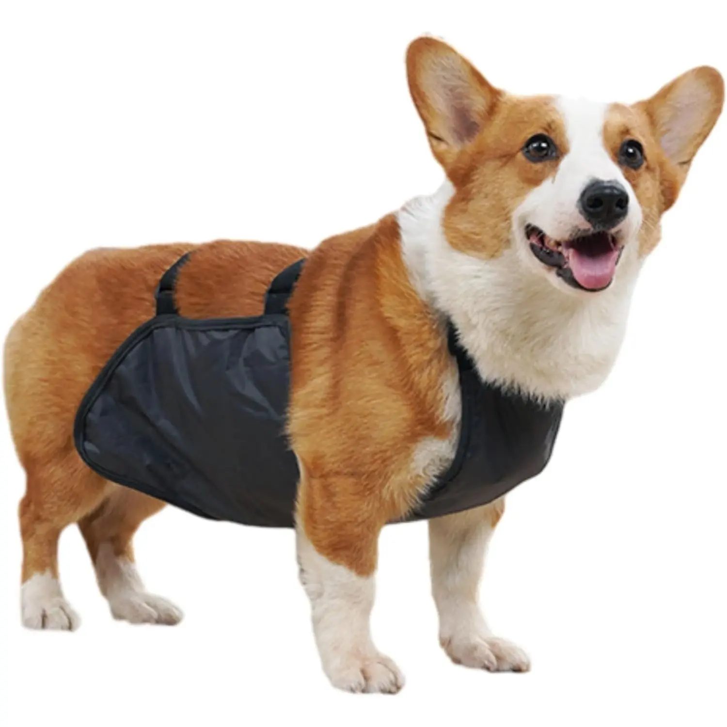 Dog Corgi Waterproof Raincoat with Belly Vest - Acrylic Fabric, Moisture-Blocking, Chest & Abdomen Protection, Breathable, Dirt-Preventing Dog Apparel for Walking (S, XXL), Protective Jacket