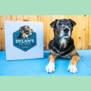 Dylan’s Premium Allergy-Friendly, Nutrition-Rich, Clean Label Dog Food Variety Pack with Digestive Care, 3 x 24oz Sample Packages (Freeze Until Serve)