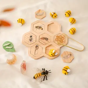 Bee Growth Cycle Toy Board, Learning Insect Growth Process, Children Gift, Birthday Gift Birthday Gifts Ideas