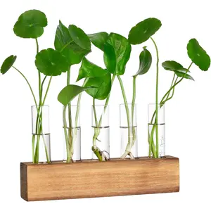 Propagation Stations,  Terrarium with Wooden Stand, 5 Glass Test Tubes Vases, Birthday Gardening Gifts for Women Mom  Lovers,  Office Desk Decor