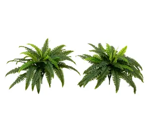 Nearly Natural Set of (2() 40" UV Resistant Boston Fern Nearly Natural Set of (2() 40" UV Resistant Boston Fern