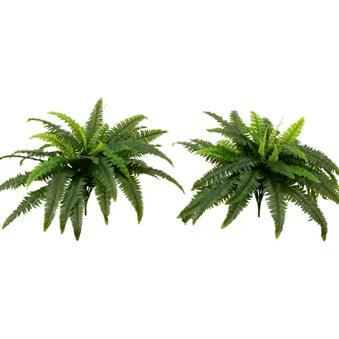 Nearly Natural Set of (2() 40" UV Resistant Boston Fern