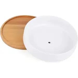 Waterdrop White Ceramic Succulent Pot · 6.3"