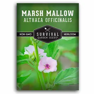 Marsh Mallow Seeds - Perennial Herb