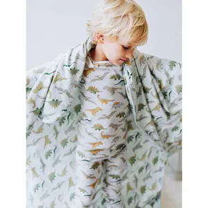 Dreamer Blanket - Dino Roar
