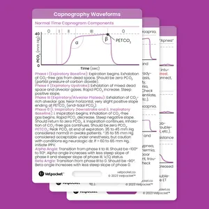 Capnography Waveforms