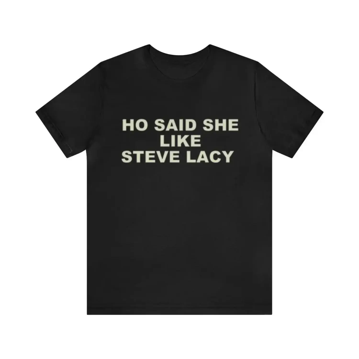 Ho Said She Likes Steve Lacy Shirts Humorous Meme Gag Gifts Dark Humor Parody Ironic Tees and Y2K Styles