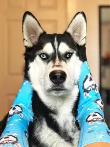 [Customization] 3 × Custom Socks