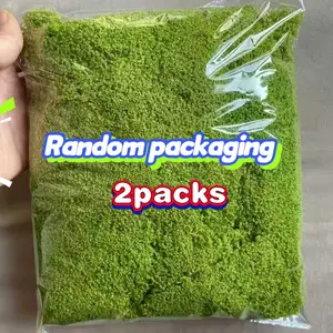 Two Packs of 10g Artificial Moss, Durable PVC Simulated Moss, Suitable for Indoor and Outdoor Decoration. Realistic Texture Ideal for Terrariums, Flower Pots, Landscaping, and Home Garden Decor. Easy to Install and Maintain