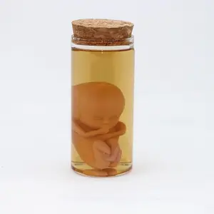 Realistic Baby Embryo Glass Bottle Specimen Display, Realistic Human Body Specimen Decorative Home Ornament (no Liquid Included)
