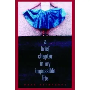 USED-A Brief Chapter in My Impossible Life by Dana Reinhardt (Hardcover)