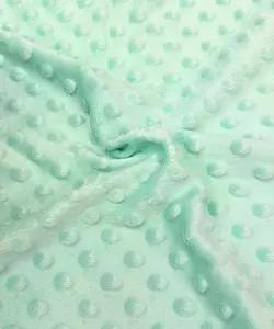 Mint Minky Fabric