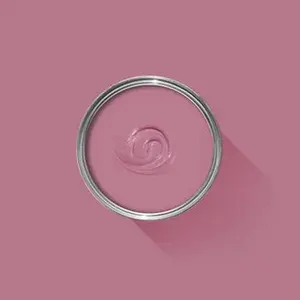 Farrow & Ball Rangwali NO.296 🚚 Free Shipping!