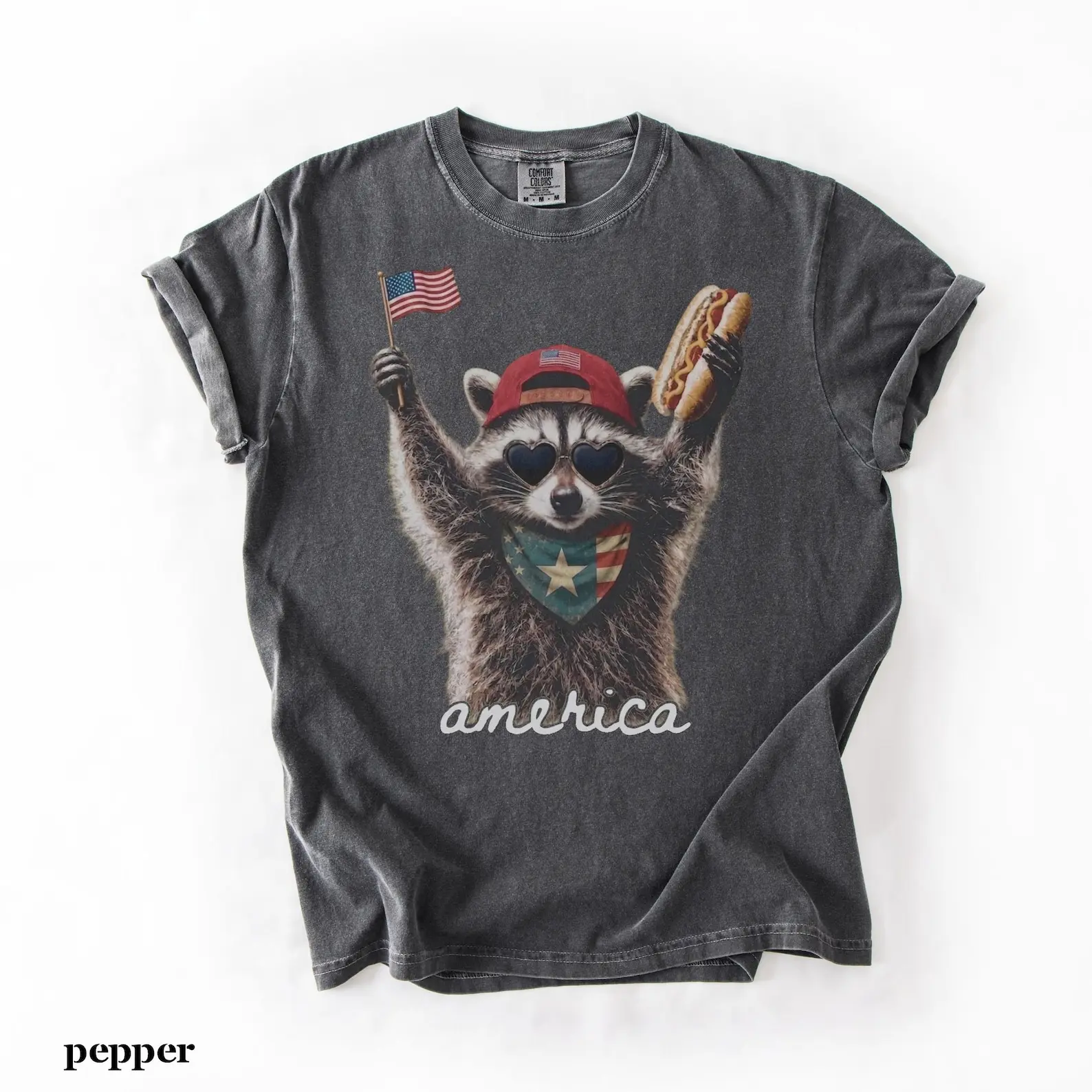 Comfort Colors America Raccoon Hot Dog Shirt, Kids 4th of July Raccoon Shirt, Patriotic American Flag Tee, Women's Retro USA Animal T-Shirt